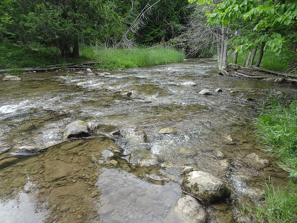 Noisy River