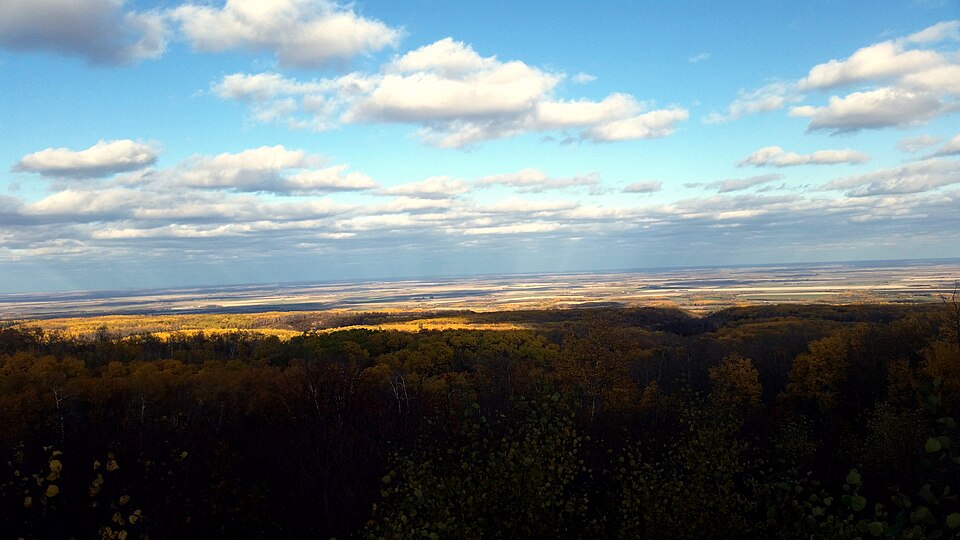 Overlooking farmland from the Manitoba Escarpment in Riding Mountain National Park in Manitoba, Canada. (37638852151)