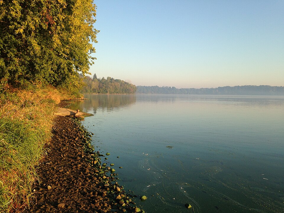 Shoreline - Fanshawe Lake (20907396514)