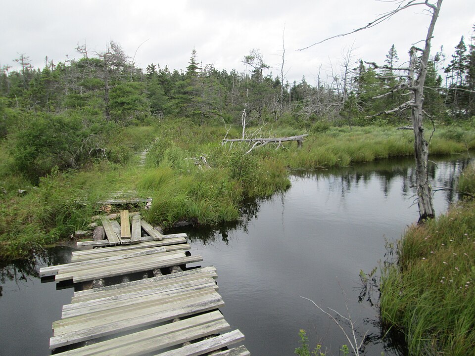 Gabarus Wildnerness Area, Cape Breton, NS (28750761183)