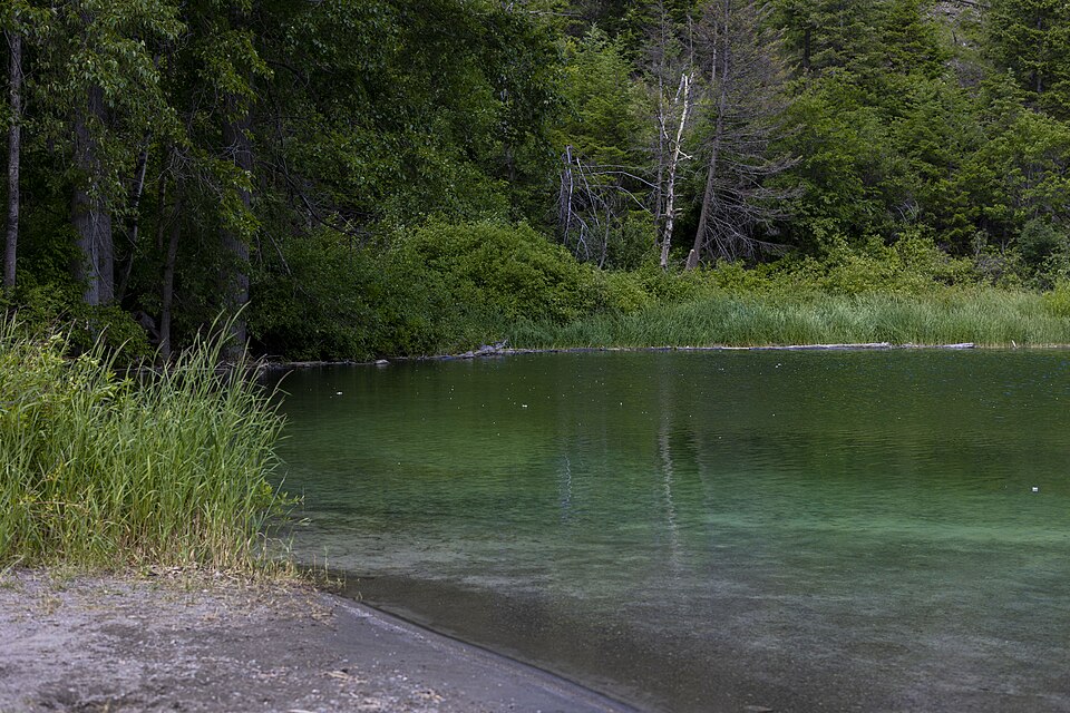 Allison Lake Provincial Park, July 10th, 2022 (52208438128)