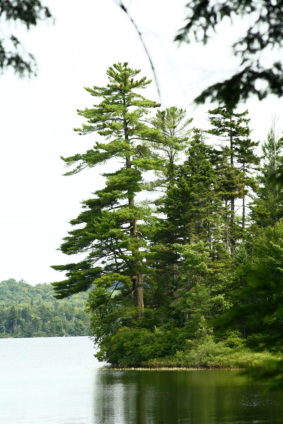 Lac Carillon