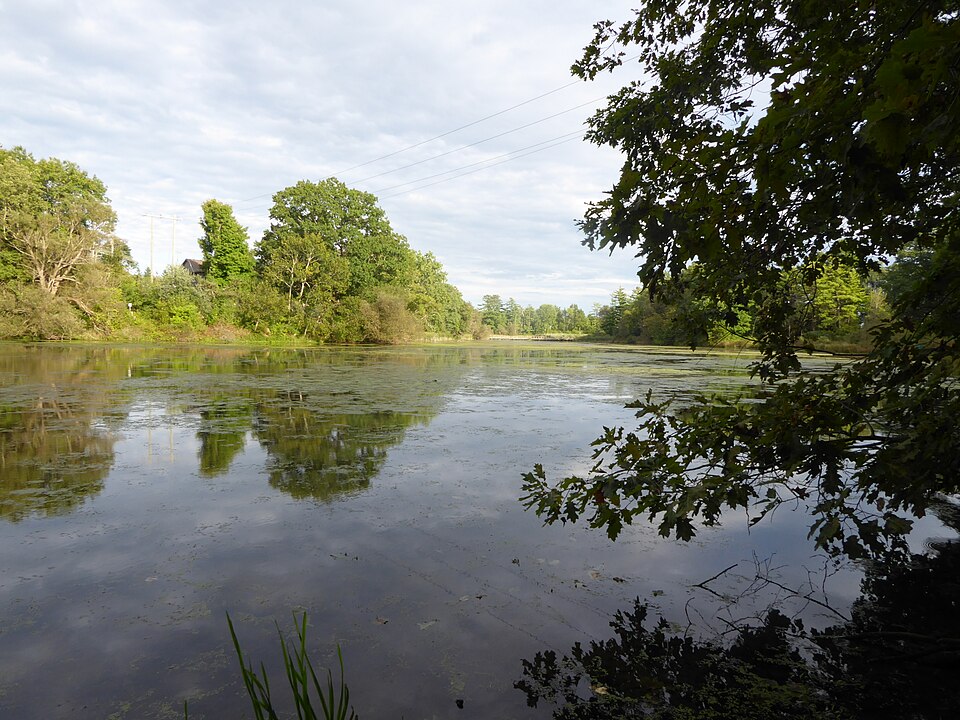 Mill Pond (50358487407)