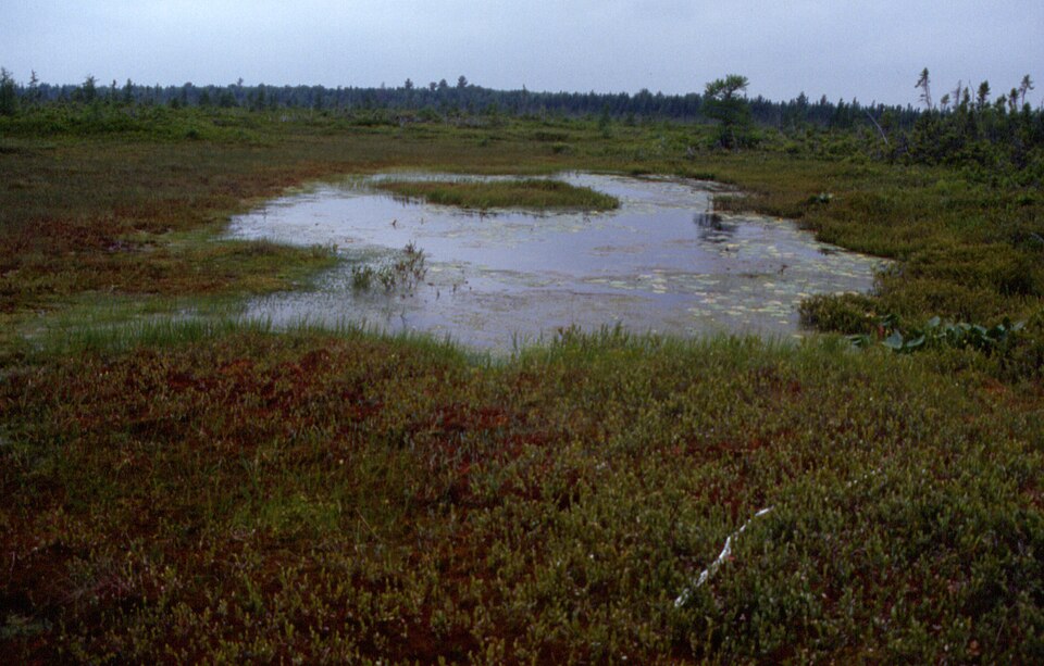 190 KOUCHIBOUGUAC