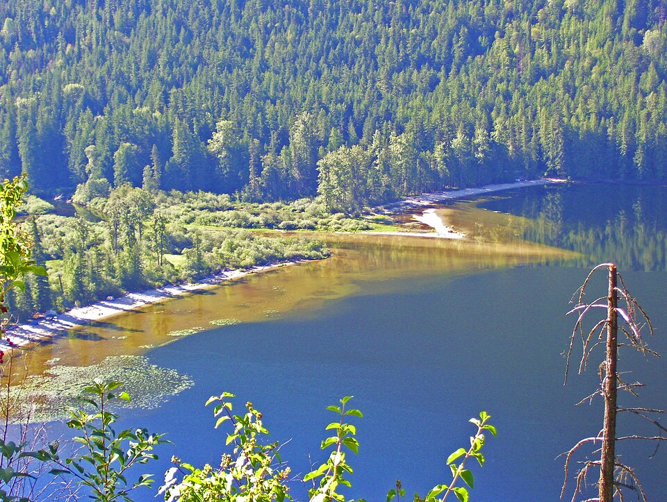 Momich Lake east beach