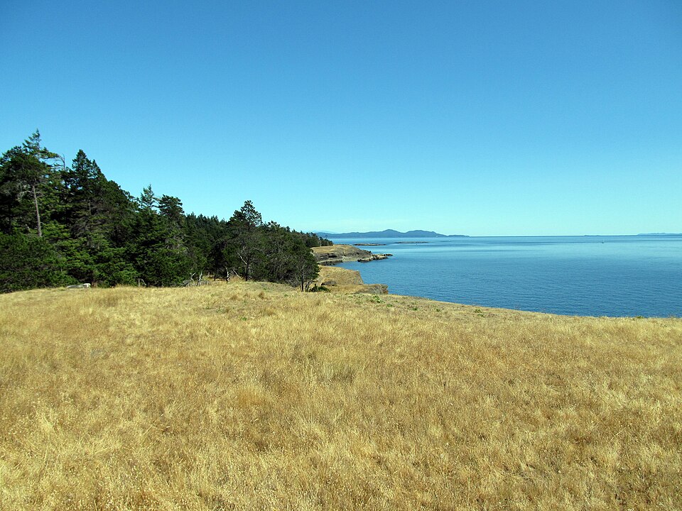 Helliwell Grass (11446081634)