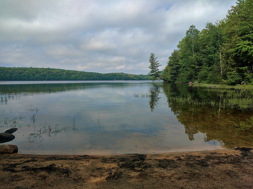 Bottle Lake