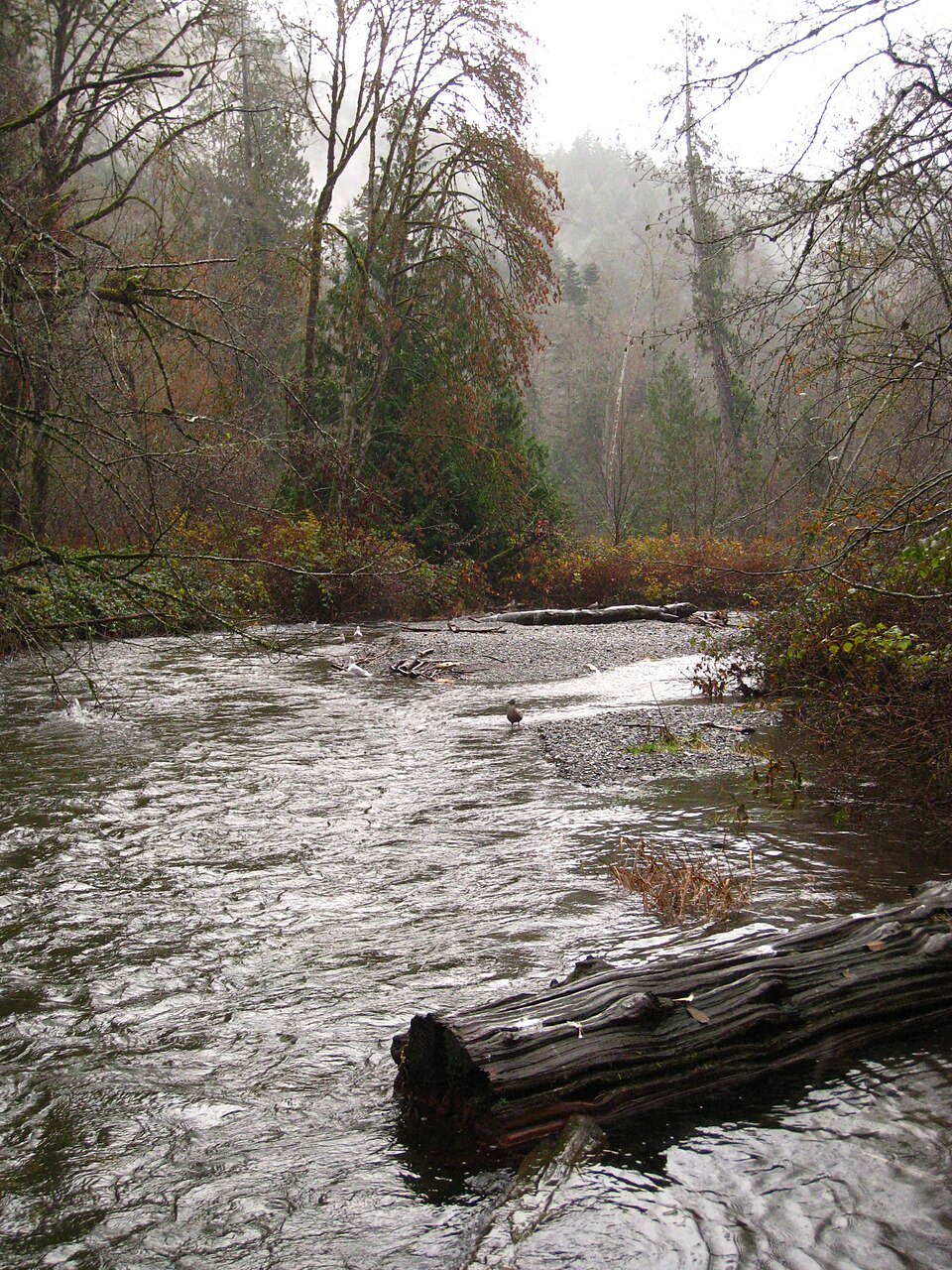 Flow, Goldstream Provincial Park