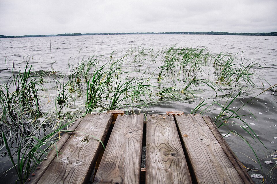 Pigeon Lake (7750082736)